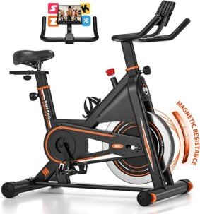 Exercise Bike, DMASUN Classic Brake Pad Pro Stationary Bike for Home with 330 LB Capacity, Workout Bike with Comfortable Seat Cushion, Digital Display with Tablet Holder