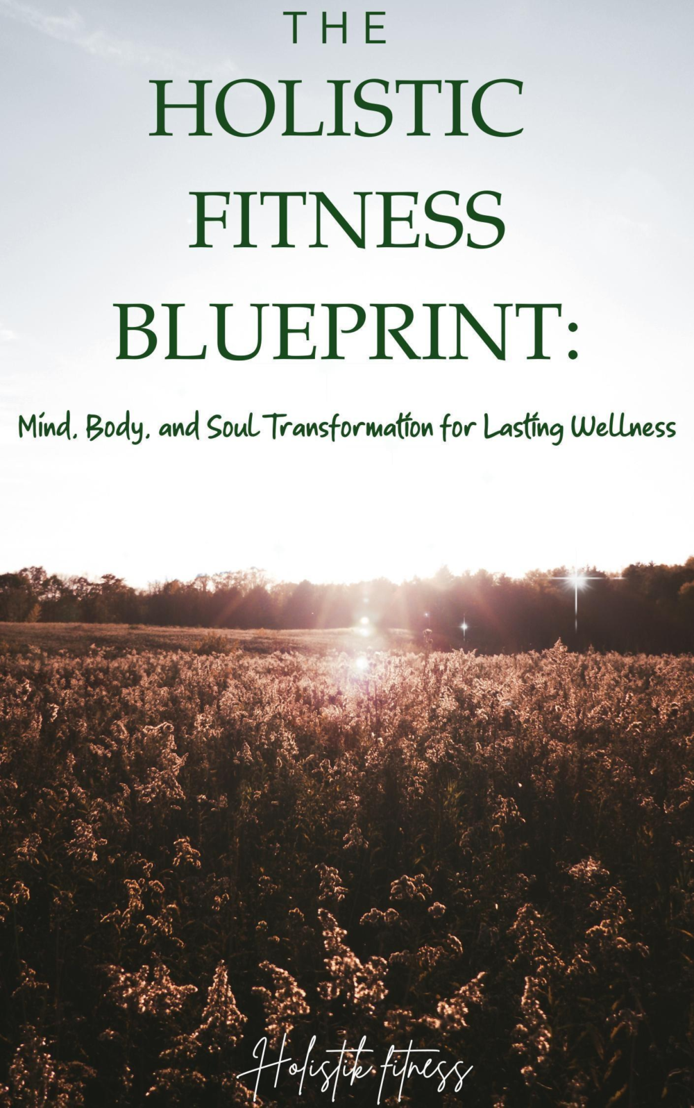 THE HOLISTIK FITNESS BLUEPRINT