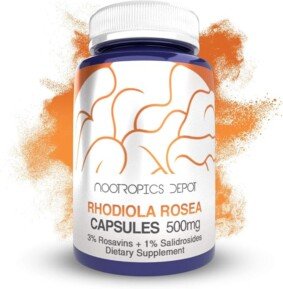Nootropics Depot Rhodiola Rosea Capsules