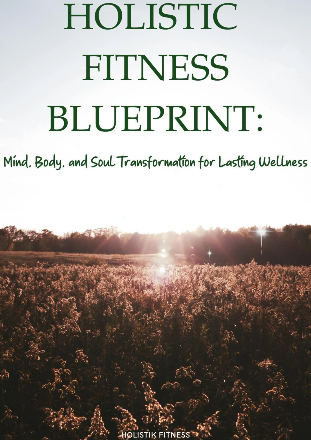 THE HOLISTIC FITNESS BLUEPRINT