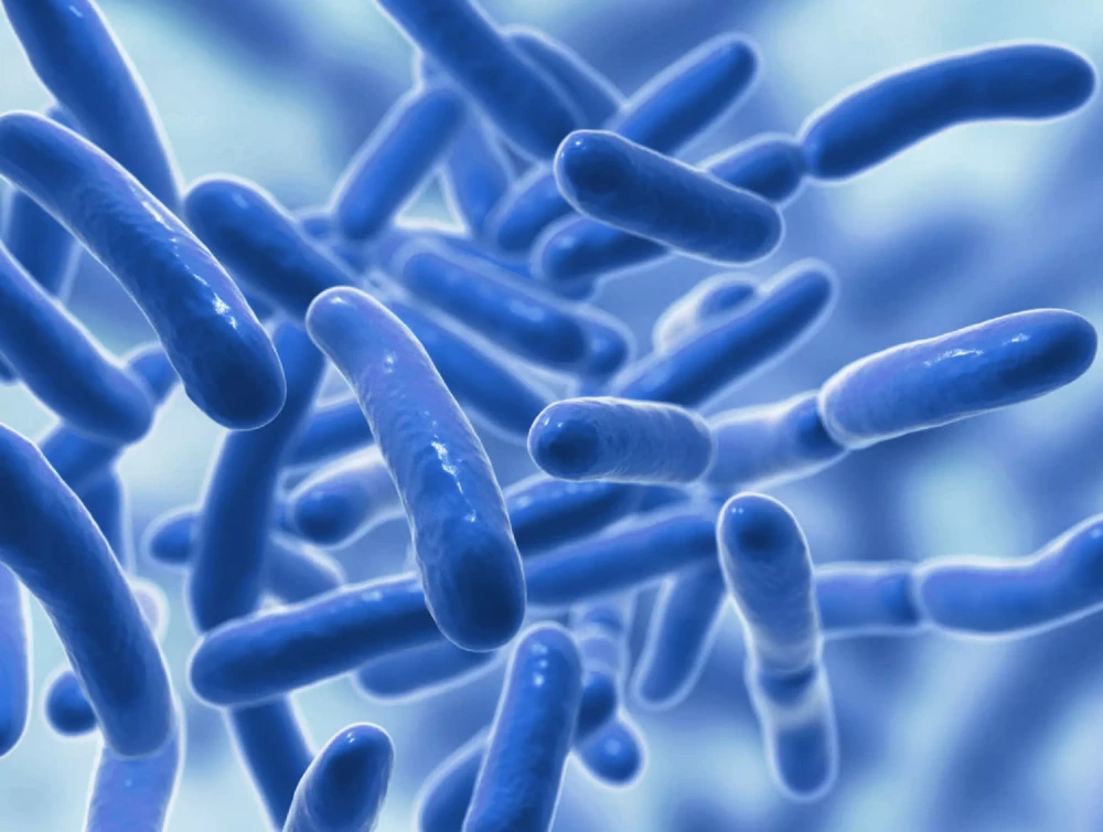 Immunocal Platinum Glutathione Precursor – Whey Protein Isolate, Anti-Aging, Skin + Cell Renewal, Immune Support, Detox + Bone Support | Fat and Sugar Free, Lactose-Intolerant Friendly | 30 Servings