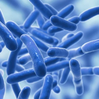 Probiotic