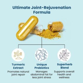 61ACaKktZaL._AC_SL1080_ BB Company Provitalize | Womens Probiotic, Menopause | Joint Support, Sexy Midsection Curves, Digestive Health, Menopause Bloat | Turmeric Curcumin Moringa | Packaging Vary | 3 Pack