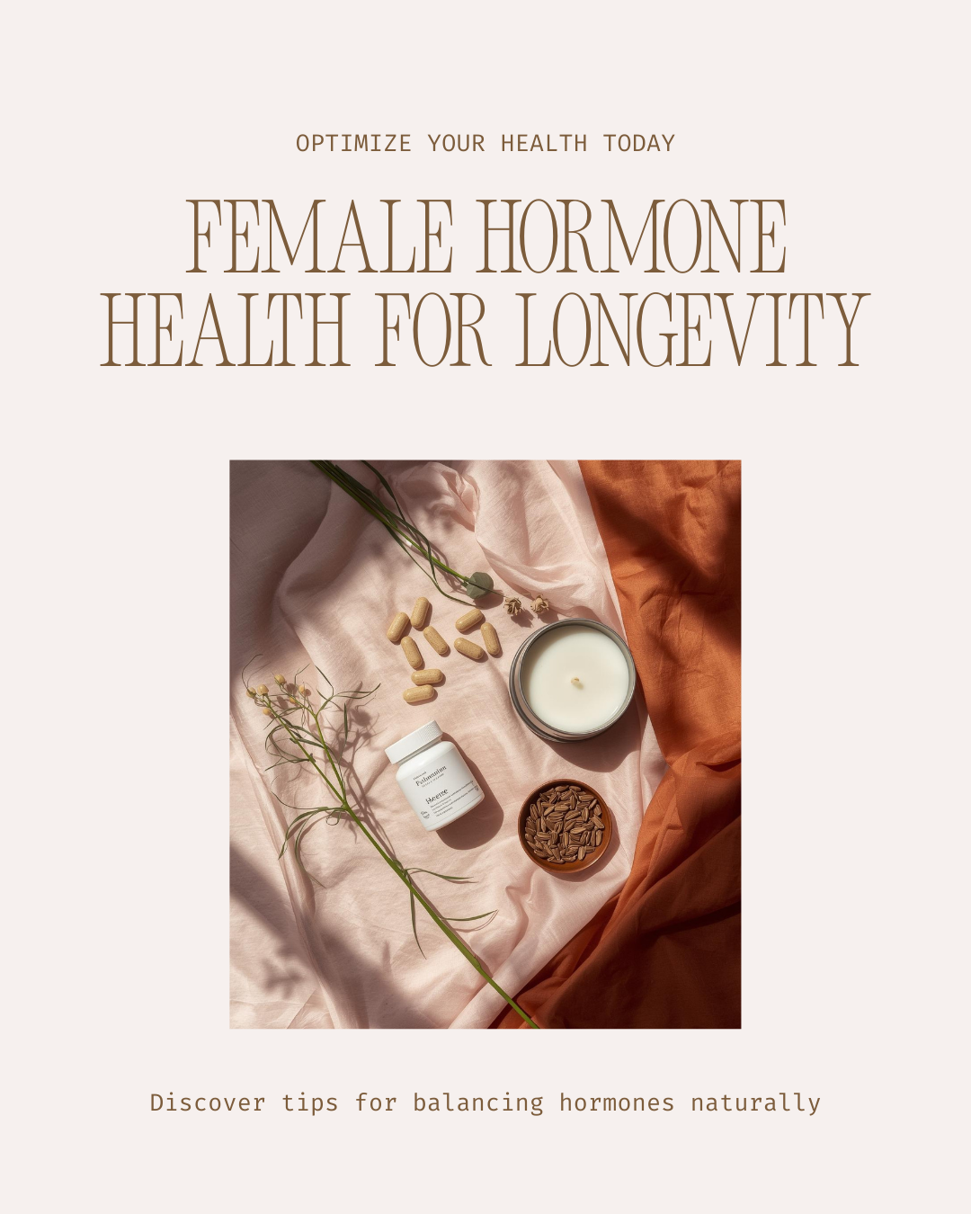 The Menopause Belly Reset - Image 4