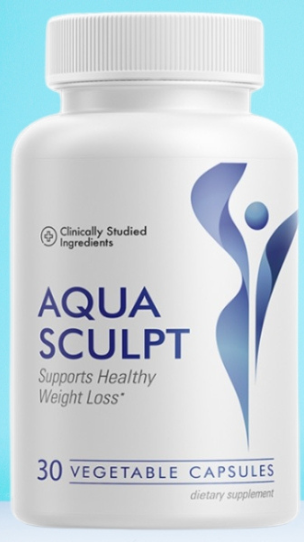 Aquasculpt